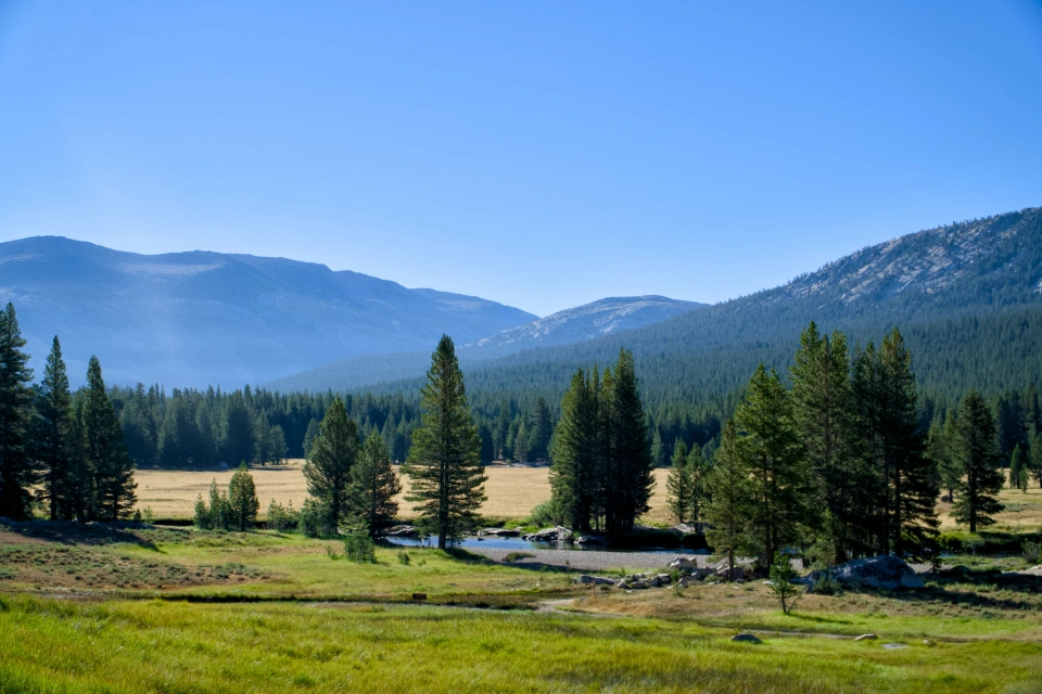 Un paisaje de verano en las montañas